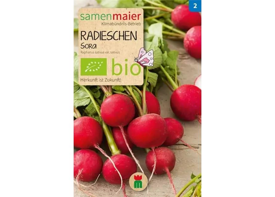 BIO-Samen Radieschen 'Sora'