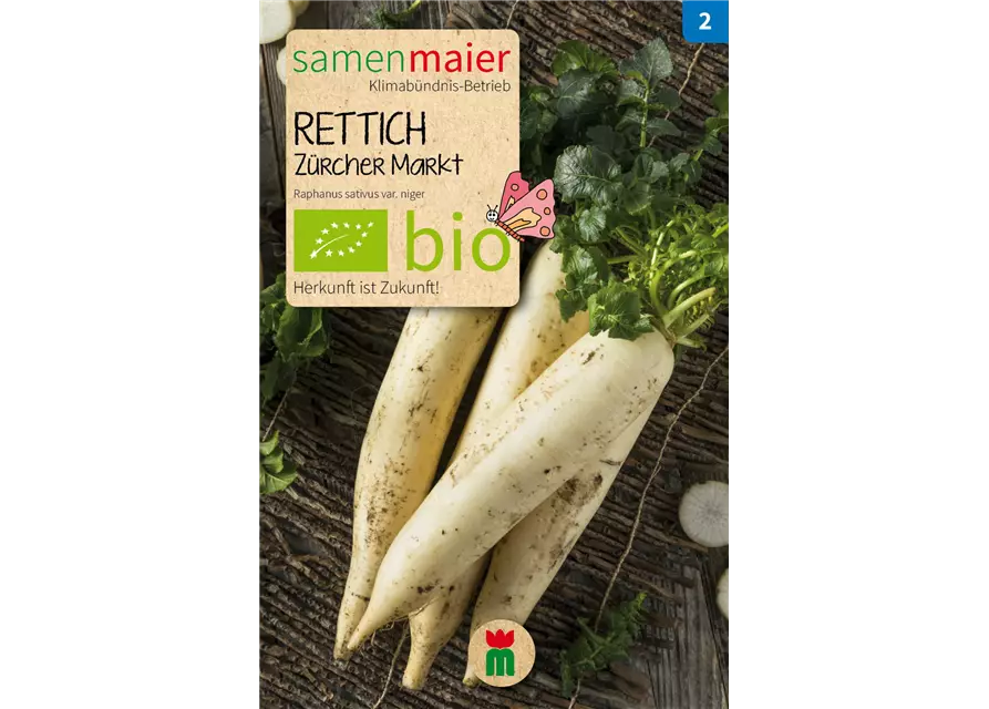 BIO-Samen Rettich 'Zürcher Markt'