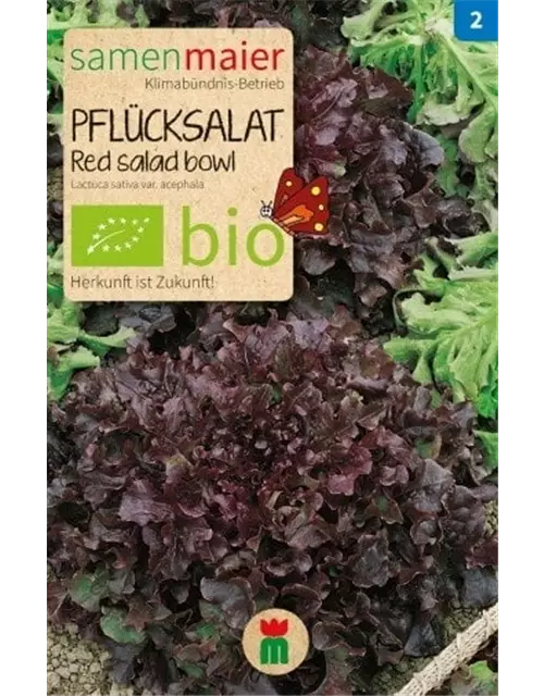 BIO-Samen Pflücksalat 'Red Salad Bowl'