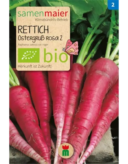 BIO-Samen Rettich 'Ostergruß Rosa 2'