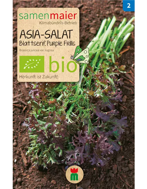 BIO-Samen Asia-Salat 'Purple Frills'