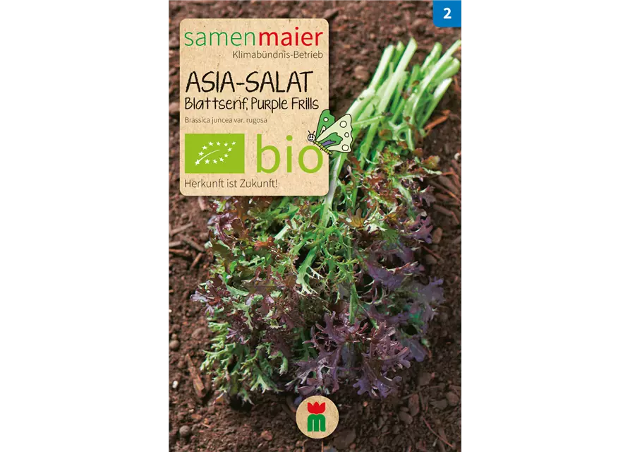 BIO-Samen Asia-Salat 'Purple Frills'