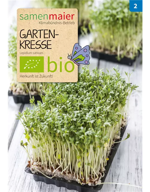 BIO-Samen Gartenkresse, groß