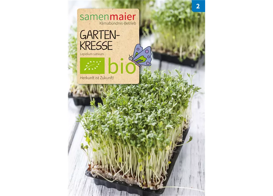 BIO-Samen Gartenkresse, groß