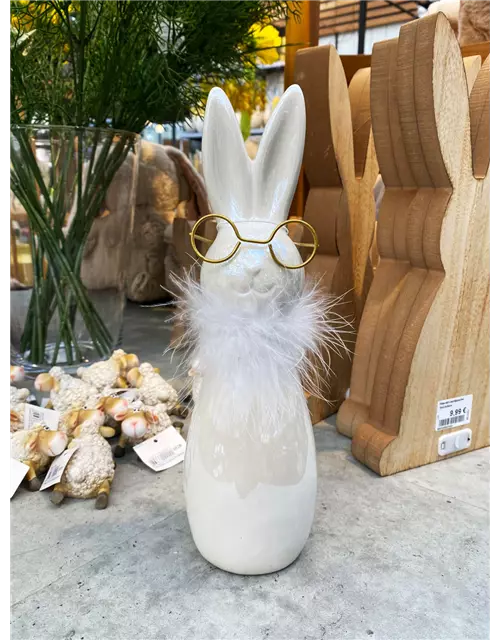 Hase mit Brille