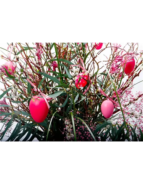 Osterstrauß 'Pinky Eggs'