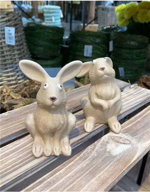 Konfuser Hase