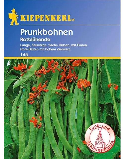 Prunkbohnen Rotblühende