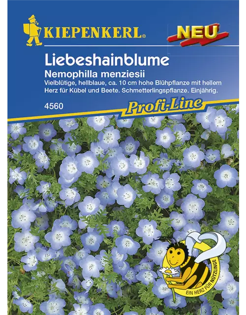 Liebeshainblume