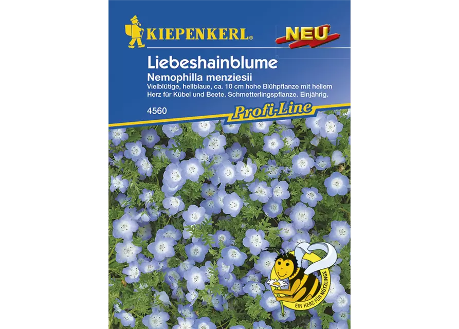 Liebeshainblume