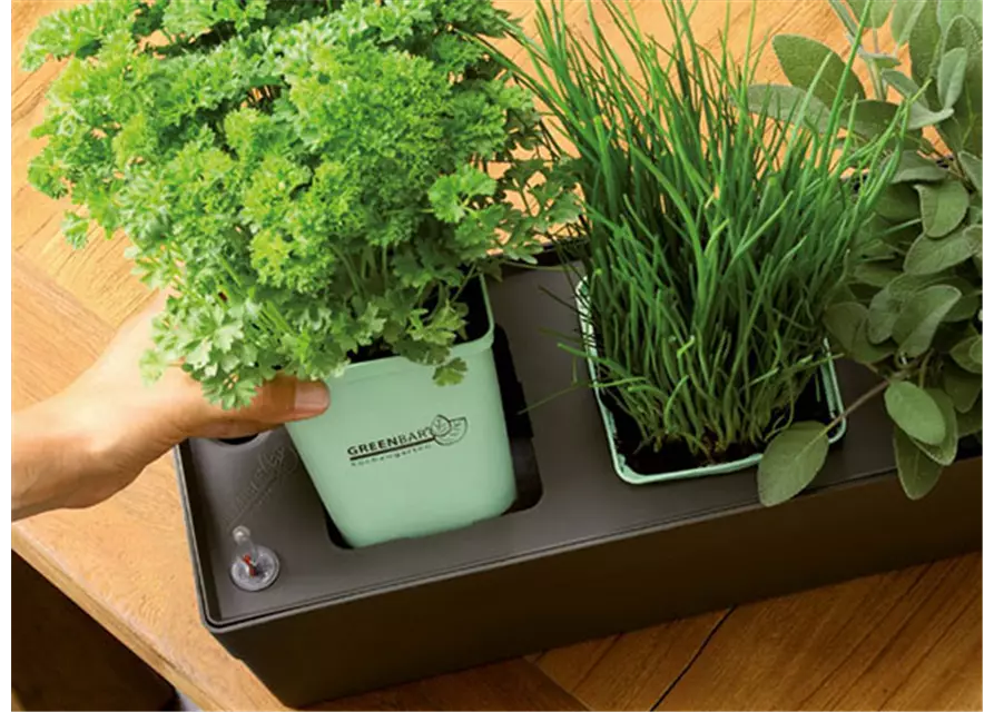 GREENBAR® Box für Kräuter