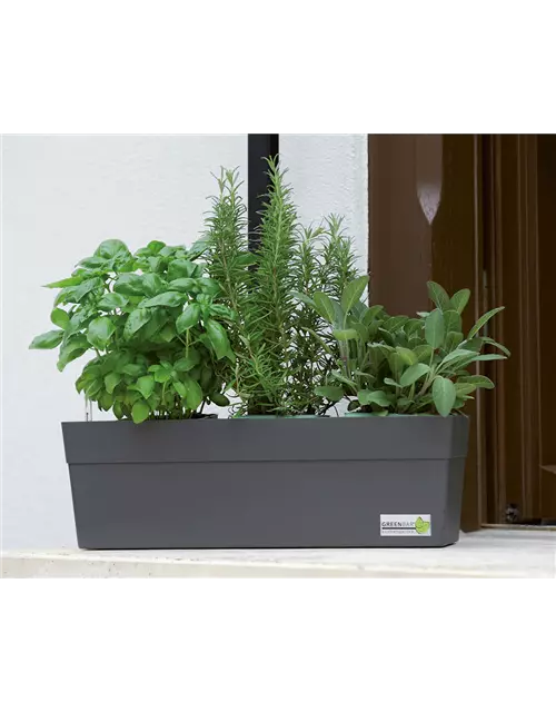 GREENBAR® Box für Kräuter