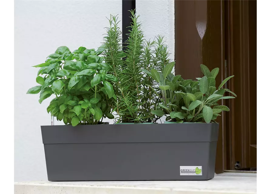 GREENBAR® Box für Kräuter