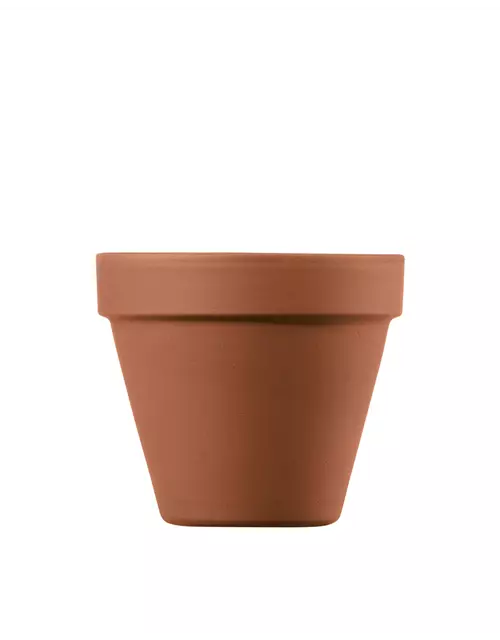 Pflanztopf Terracotta Standard