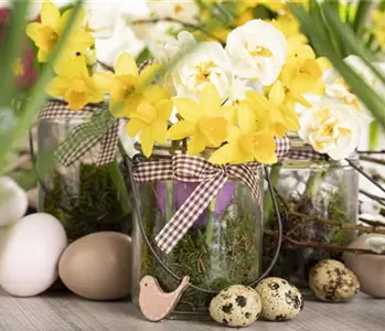 Ein buntes Osterfest lockt mit passenden Frühlingsblumen