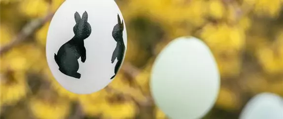 Ein buntes Osterfest lockt mit passenden Frühlingsblumen