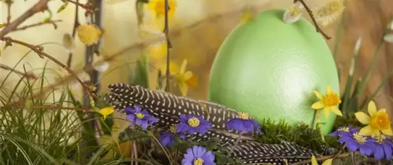 Ein buntes Osterfest lockt mit passenden Frühlingsblumen