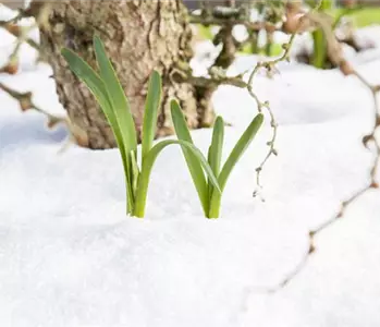 Wir freuen uns auf den Frühling!