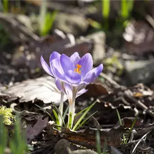 Wir freuen uns auf den Frühling!