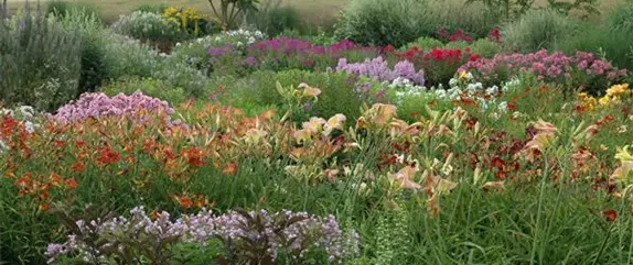 Frühling ist Pflanzzeit – ab in den Garten!