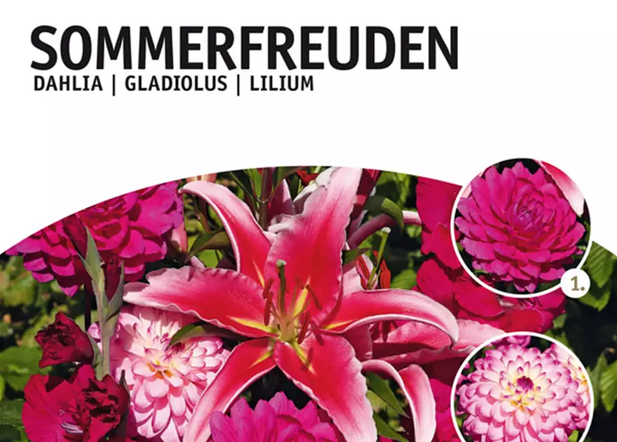 Sommerfreuden Mix