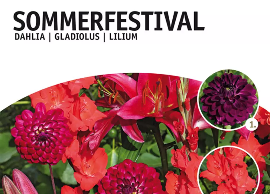 Sommerfestival Mix