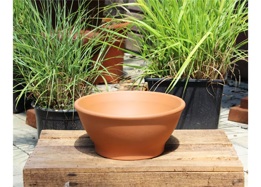 Pflanzschale Terracotta 'Liscia cotto'