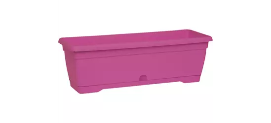 Balkonkasten fuchsia, mit Untersetzer, 50x18 cm