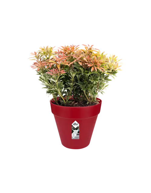 Blumentopf Loft Urban, cranberry, 24 cm