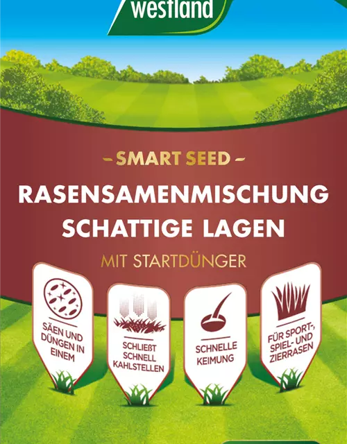 Westland Rasensamenmischung Schattige Lagen "Smart Seed" 500 g