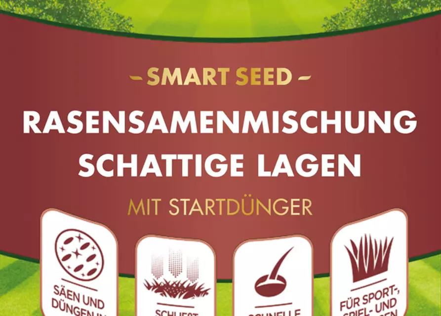 Westland Rasensamenmischung Schattige Lagen "Smart Seed" 500 g