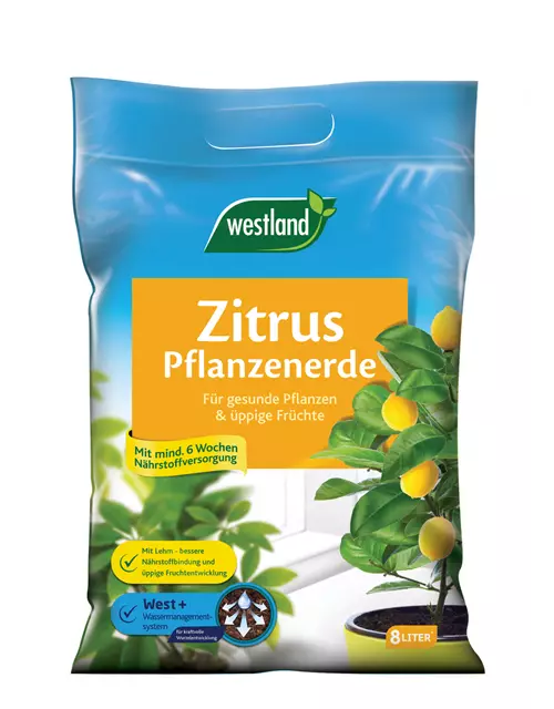 Westland Zitruspflanzenerde 8 l