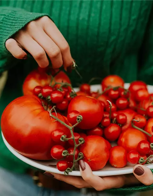 Westland Tomaten- und Gemüseerde 20 l