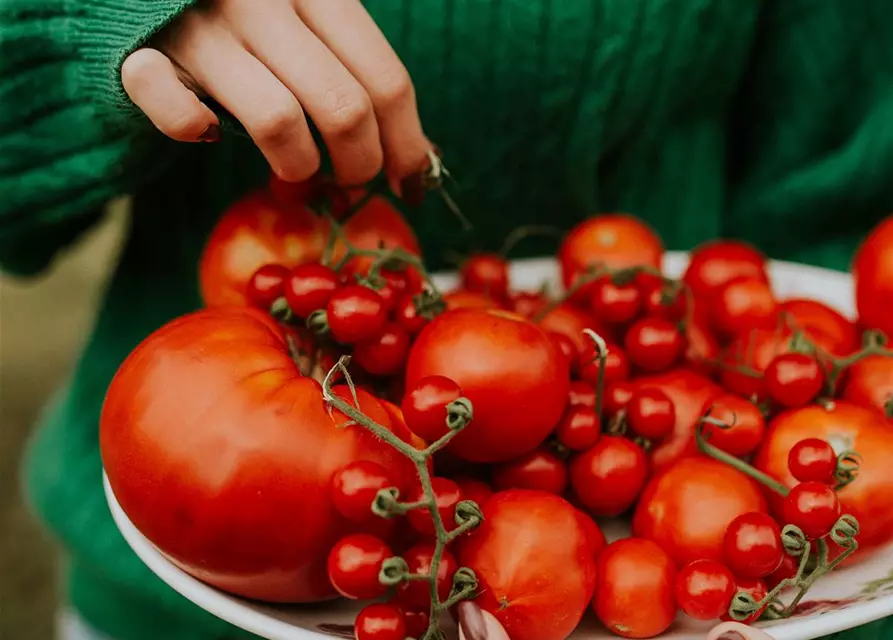 Westland Tomaten- und Gemüseerde 20 l