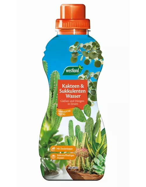 Westland Kakteen & Sukkulentenwasser 720 ml