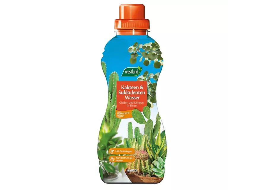 Westland Kakteen & Sukkulentenwasser 720 ml