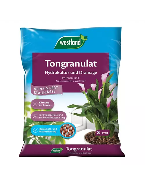 Westland Tongranulat