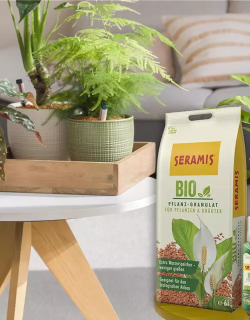 Seramis BIO-Pflanz-Granulat für Zimmerpflanzen 6 l