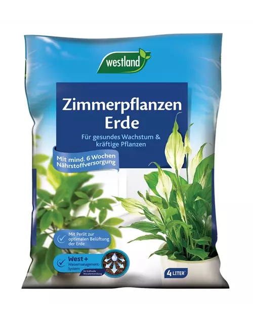 Westland Zimmerpflanzenerde