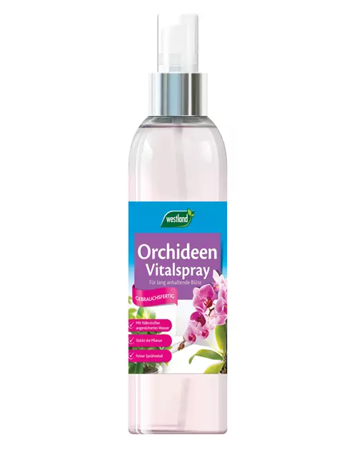 Westland Orchideen Vitalspray 250 ml