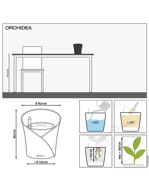 LECHUZA ORCHIDEA Color