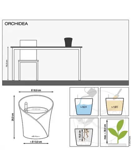 LECHUZA ORCHIDEA Color