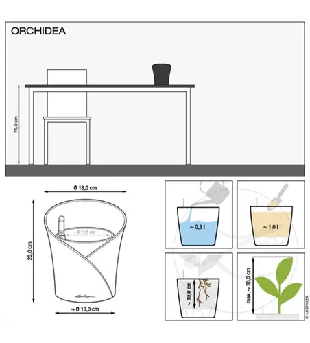 LECHUZA ORCHIDEA Color