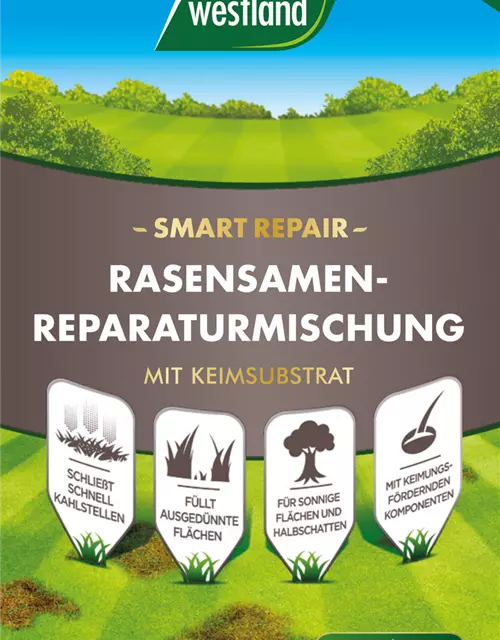 Westland Rasensamen Reparaturmischung "Smart Repair" 1 kg