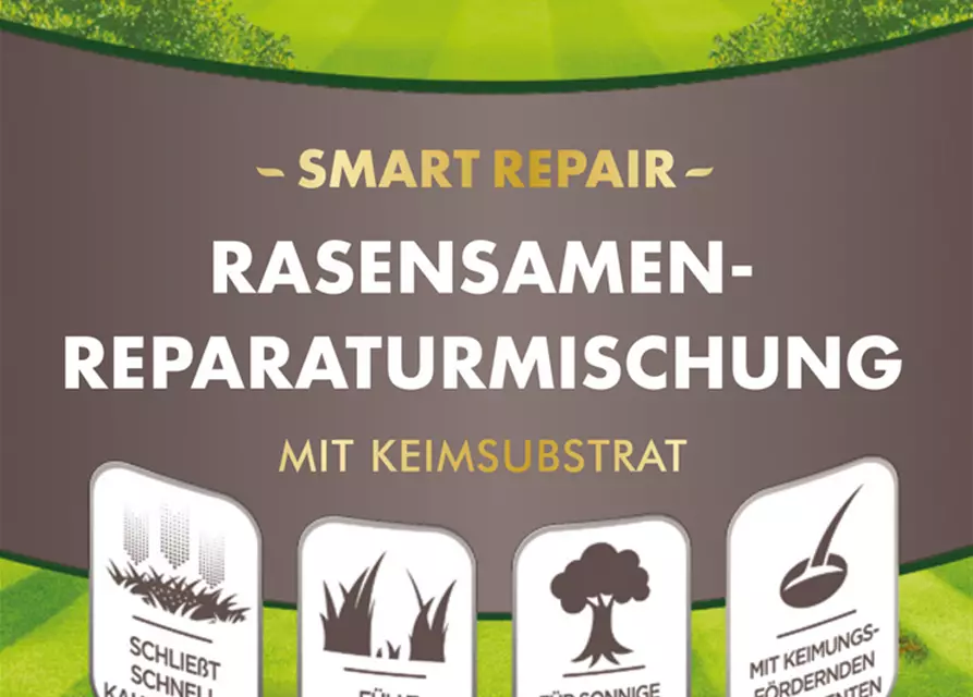 Westland Rasensamen Reparaturmischung "Smart Repair" 1 kg