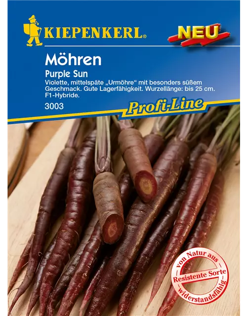 Möhre 'Purple Sun'