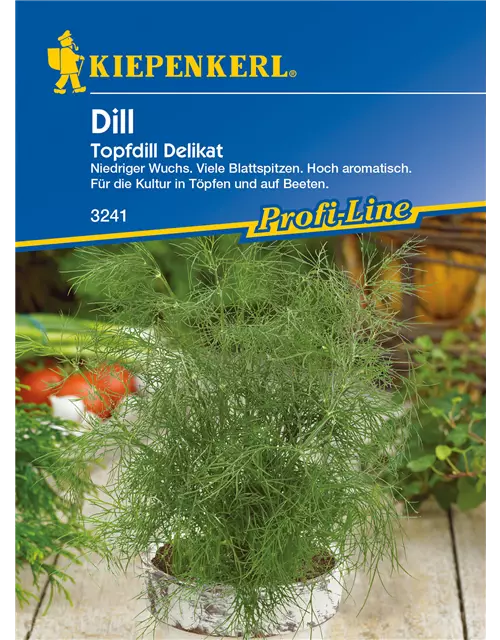 Topf-Dill 'Delikat'