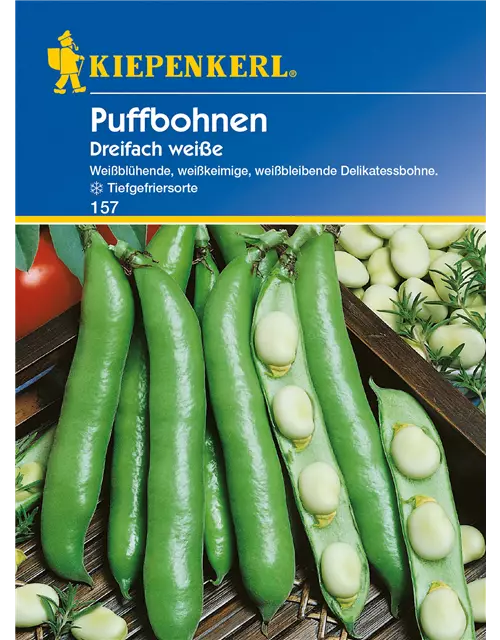 Puffbohne 'Dreifach Weiße'