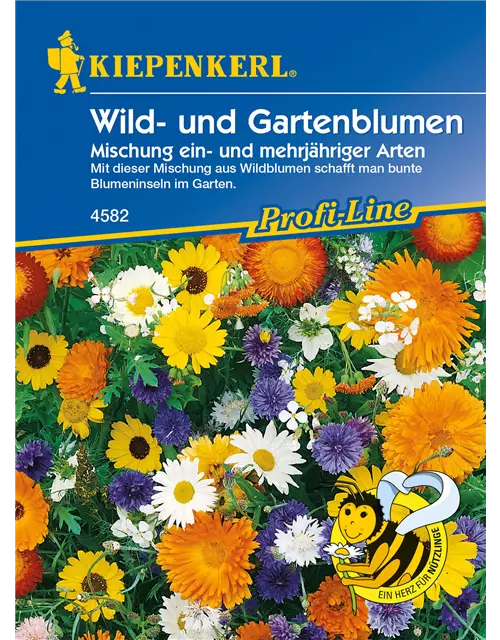 Wildblumen