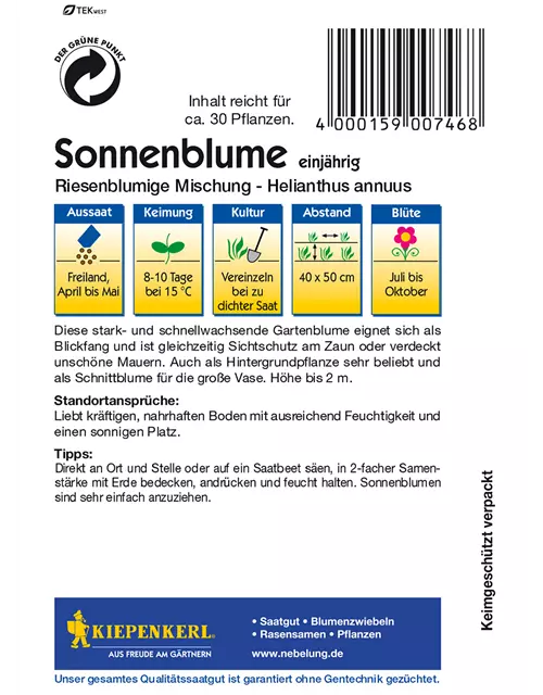 Sonnenblume 'Riesenblumige'